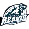 Burbank Reavis logo